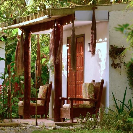 Casa A Beira Do Rio Jaguareguava Na Mata Atlantica Em Bertioga Sp Villa ภายนอก รูปภาพ