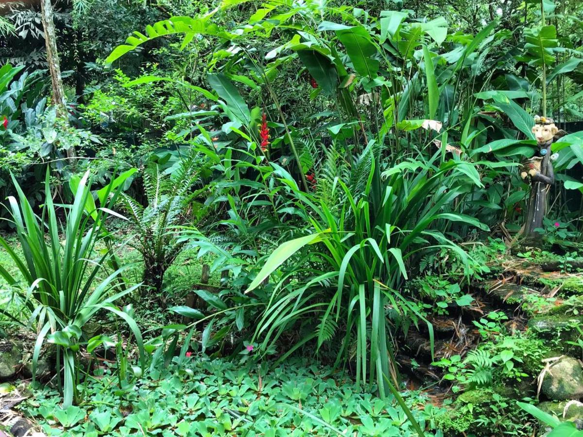 Casa A Beira Do Rio Jaguareguava Na Mata Atlantica Em Bertioga Sp Villa ภายนอก รูปภาพ
