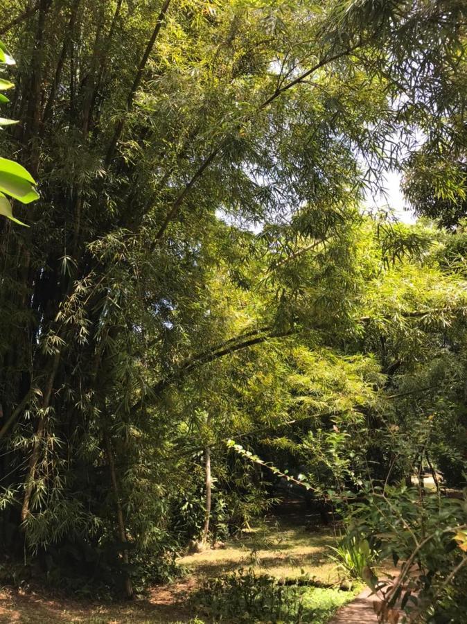 Casa A Beira Do Rio Jaguareguava Na Mata Atlantica Em Bertioga Sp Villa ภายนอก รูปภาพ