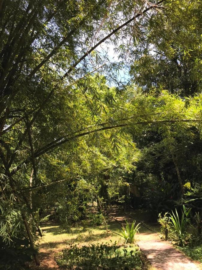 Casa A Beira Do Rio Jaguareguava Na Mata Atlantica Em Bertioga Sp Villa ภายนอก รูปภาพ